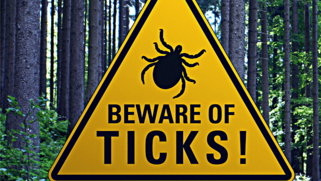 Is there a new type of tick making people sick across America?