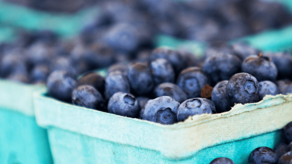 Blue berries are good for brain health